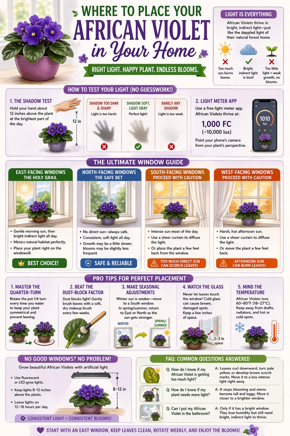 Window Guide for African Violets