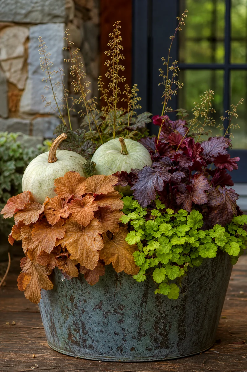 Pumpkin and Heuchera Planter Pale pumpkins surrounded by caramel, burgundy, and lime heuchera foliage in a shaded planter