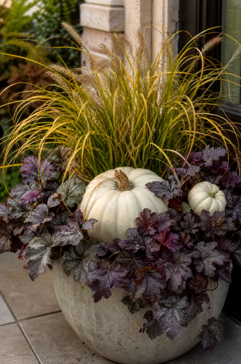 Pumpkin and Japanese Forest Grass Planter Pale pumpkins with golden Japanese forest grass and dark heuchera in a shaded porch planter