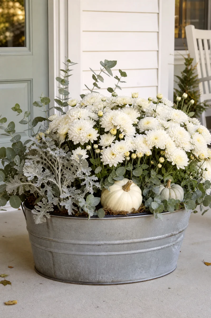 White Farmhouse Mum Planter in Galvanized Tub White mums with eucalyptus, dusty miller, and pale pumpkins in a galvanized tub