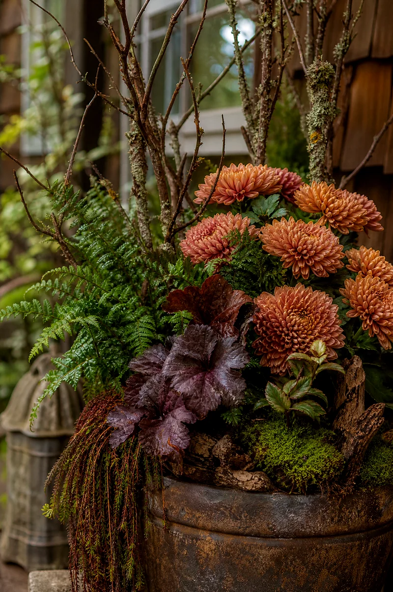Woodland Bronze Mum Planter Bronze mums with ferns, heuchera, moss, and natural branches in a shaded planter